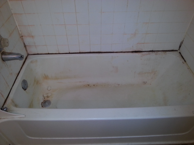 3 Tips to Remove Bathroom Mold