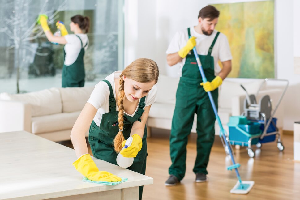 Professional Cleaning company