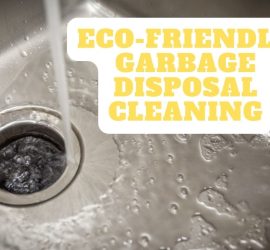 Eco-Friendly Garbage Disposal Cleaning
