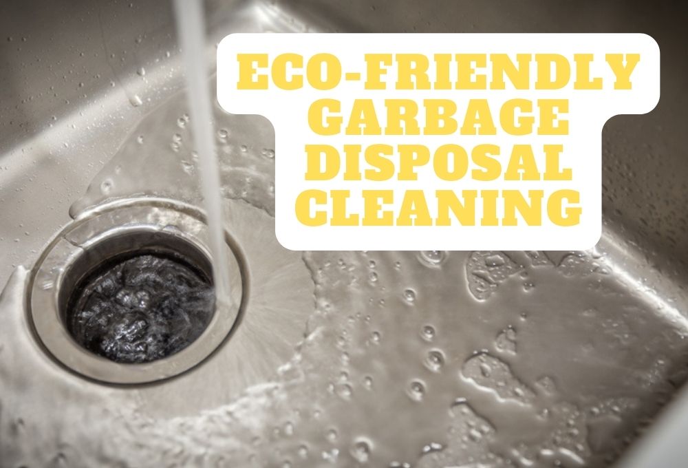 Eco-Friendly Garbage Disposal Cleaning