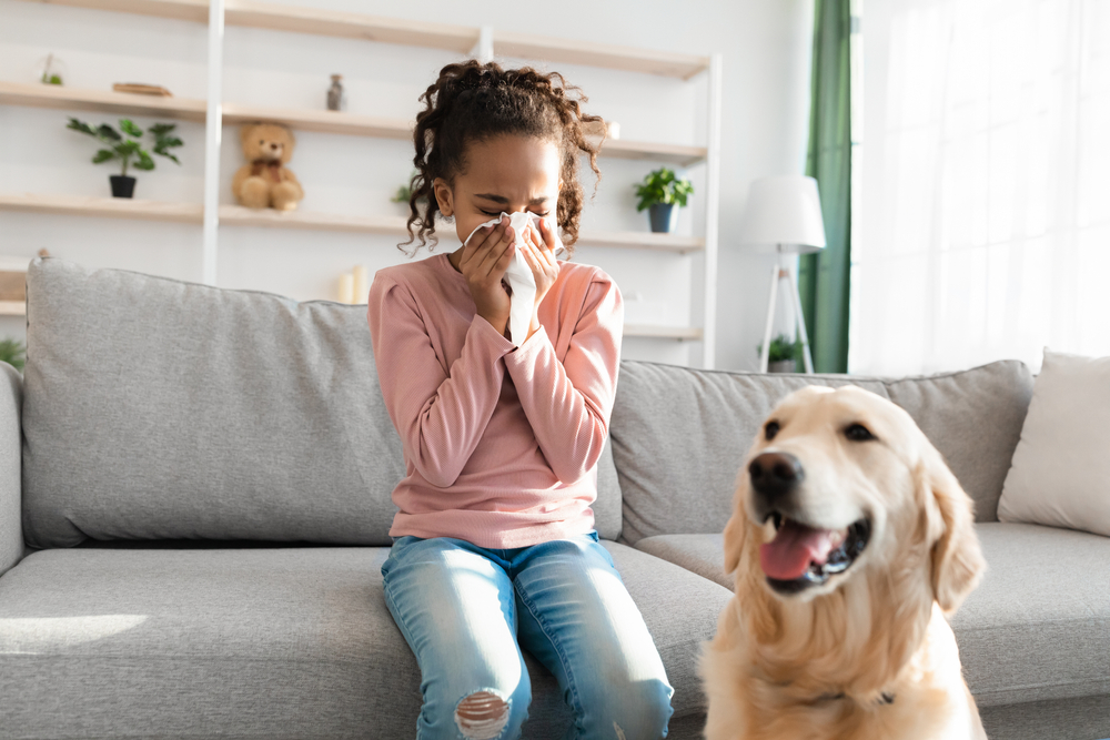 Cleaning for Allergies: Creating an Allergen-Free Environment at Home
