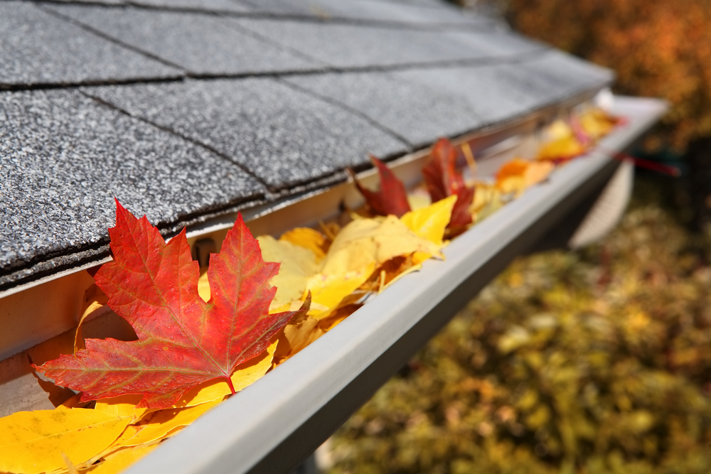 12 Tips to Get Your Home Ready for Fall